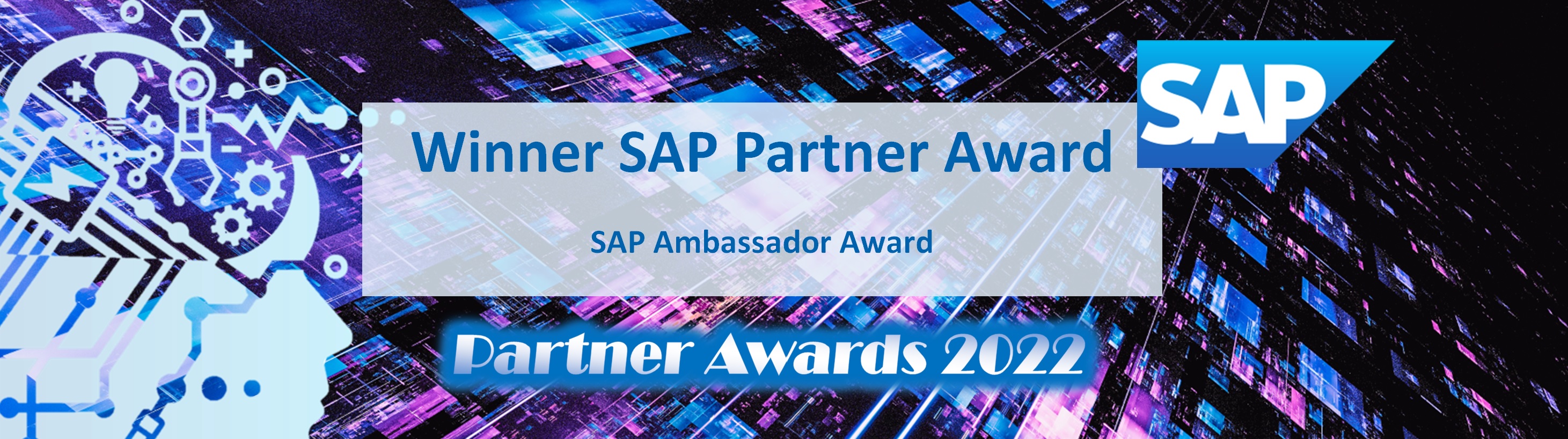 SAP Ambassador Award