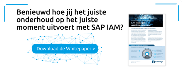 SAP IAM banner-1